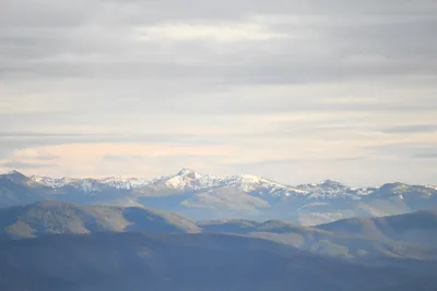 DSC_0102 (Large).JPG